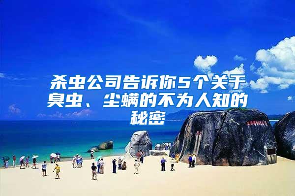 殺蟲(chóng)公司告訴你5個(gè)關(guān)于臭蟲(chóng)、塵螨的不為人知的秘密