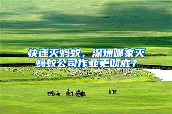 快速滅螞蟻，深圳哪家滅螞蟻公司作業(yè)更徹底？