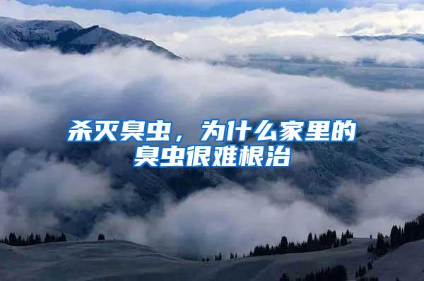 殺滅臭蟲，為什么家里的臭蟲很難根治