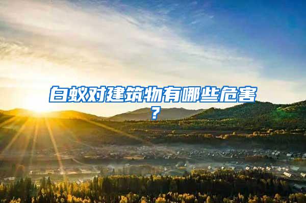 白蟻對(duì)建筑物有哪些危害？
