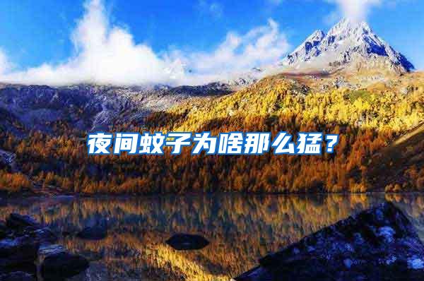 夜間蚊子為啥那么猛？