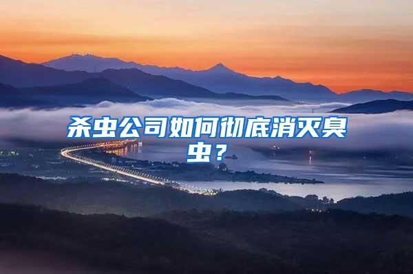 殺蟲公司如何徹底消滅臭蟲？