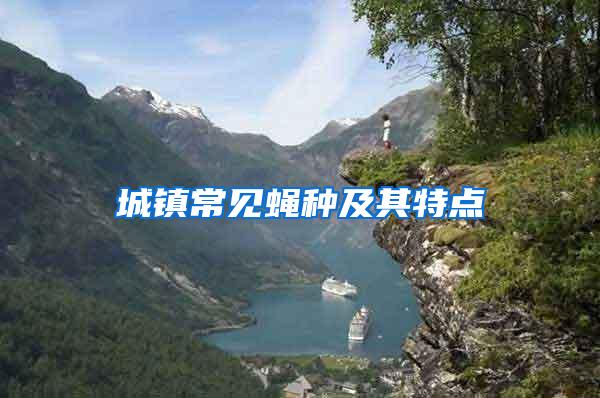 城鎮(zhèn)常見蠅種及其特點