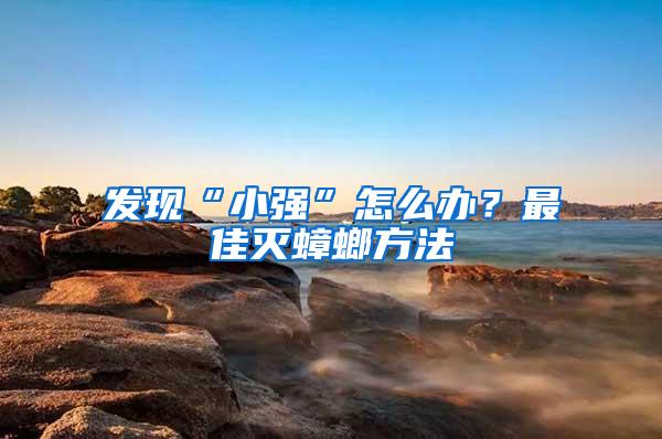 發(fā)現(xiàn)“小強(qiáng)”怎么辦？最佳滅蟑螂方法