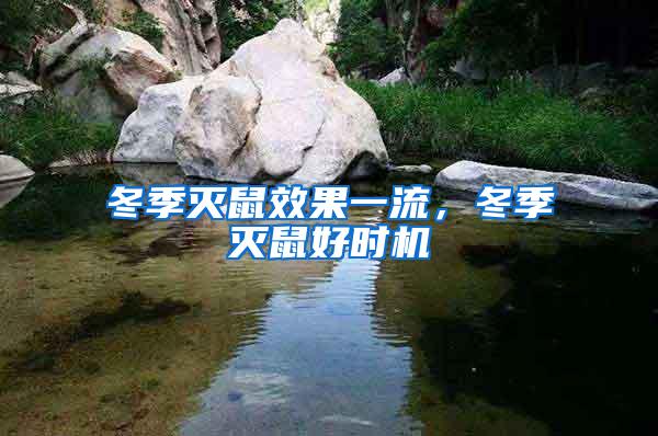 冬季滅鼠效果一流，冬季滅鼠好時機