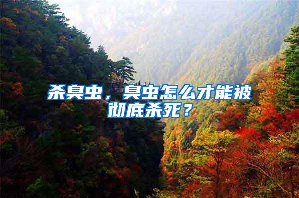 殺臭蟲，臭蟲怎么才能被徹底殺死？