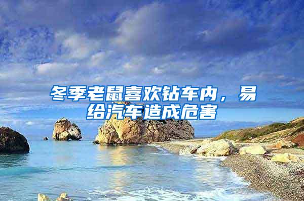 冬季老鼠喜歡鉆車內(nèi)，易給汽車造成危害