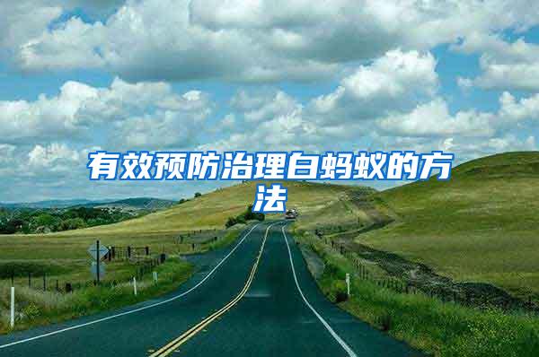 有效預(yù)防治理白螞蟻的方法