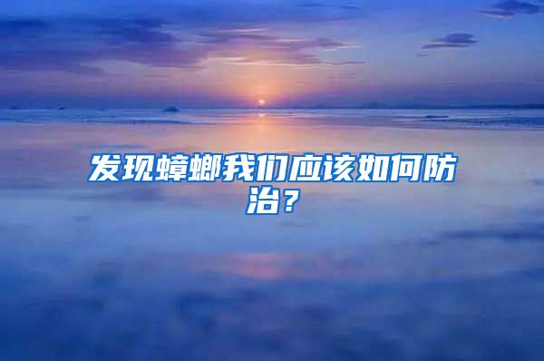 發(fā)現(xiàn)蟑螂我們應(yīng)該如何防治？
