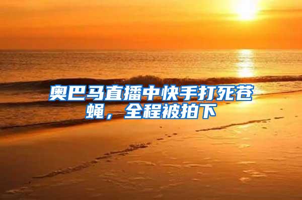 奧巴馬直播中快手打死蒼蠅，全程被拍下