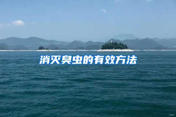 消滅臭蟲(chóng)的有效方法