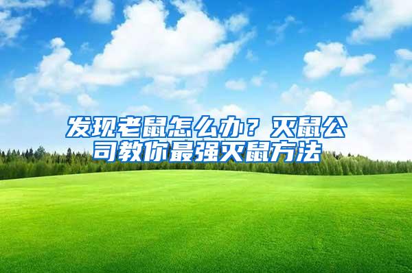 發(fā)現(xiàn)老鼠怎么辦？滅鼠公司教你最強(qiáng)滅鼠方法