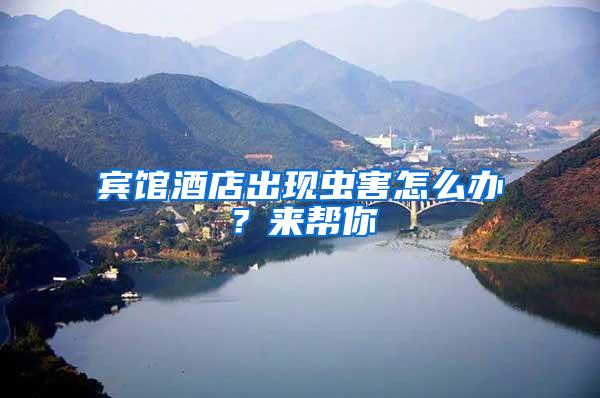 賓館酒店出現(xiàn)蟲害怎么辦？來(lái)幫你