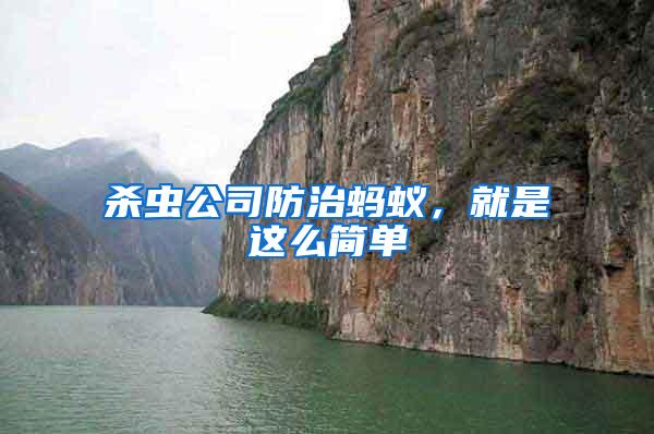 殺蟲公司防治螞蟻，就是這么簡單