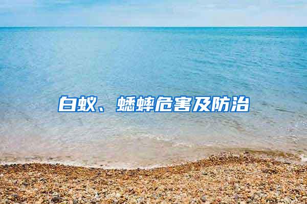 白蟻、蟋蟀危害及防治