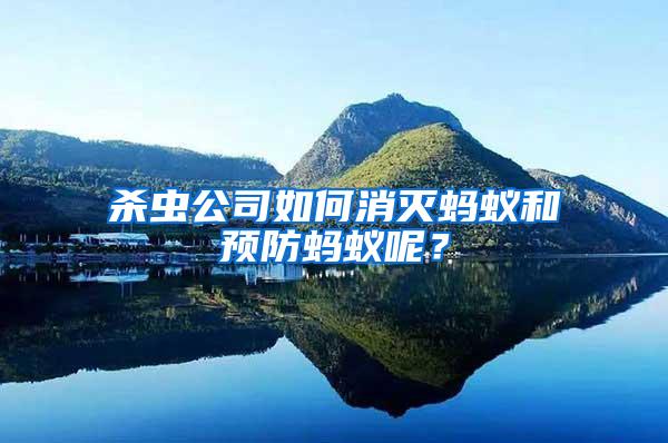 殺蟲公司如何消滅螞蟻和預(yù)防螞蟻呢？