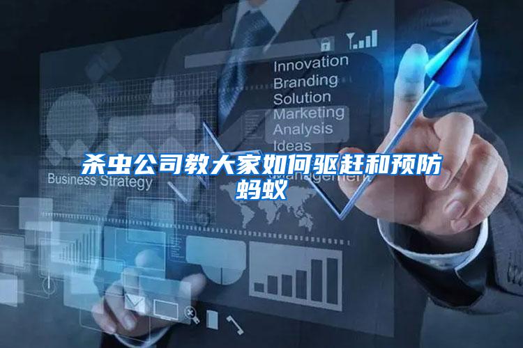 殺蟲公司教大家如何驅(qū)趕和預(yù)防螞蟻