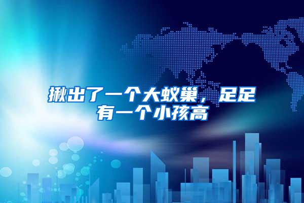 揪出了一個(gè)大蟻巢，足足有一個(gè)小孩高