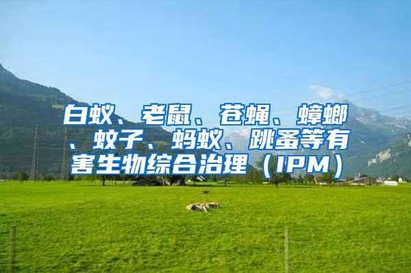 白蟻、老鼠、蒼蠅、蟑螂、蚊子、螞蟻、跳蚤等有害生物綜合治理（IPM）
