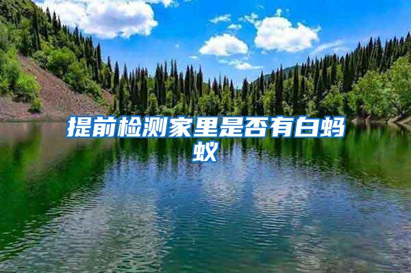 提前檢測(cè)家里是否有白螞蟻