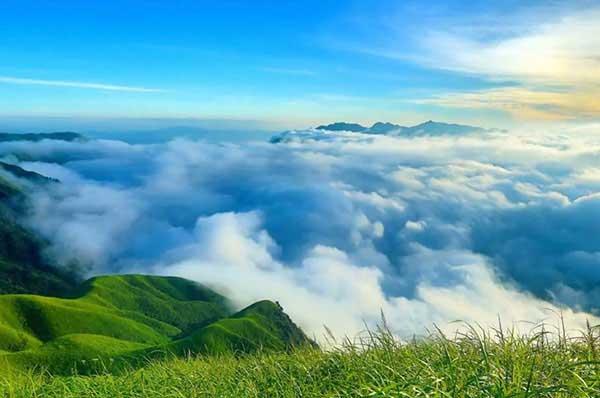 白蟻猖狂幾個(gè)月把門框吃空