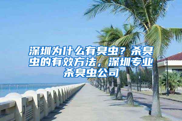 深圳為什么有臭蟲？殺臭蟲的有效方法，深圳專業(yè)殺臭蟲公司