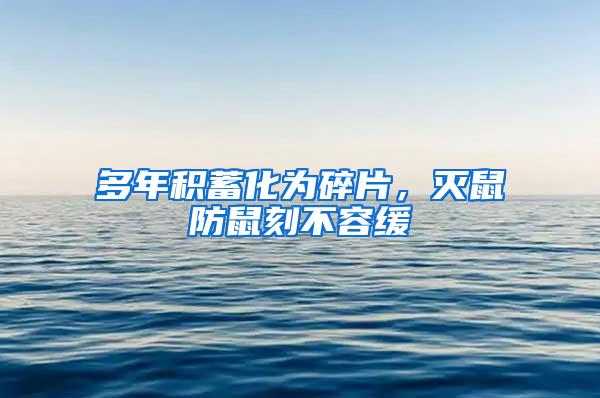 多年積蓄化為碎片，滅鼠防鼠刻不容緩