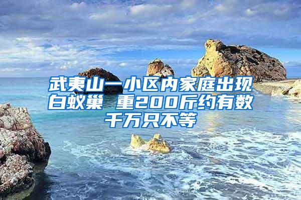 武夷山一小區(qū)內家庭出現(xiàn)白蟻巢 重200斤約有數(shù)千萬只不等