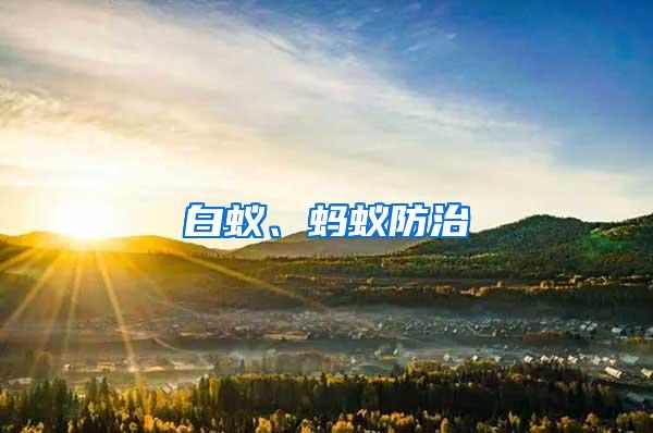 白蟻、螞蟻防治