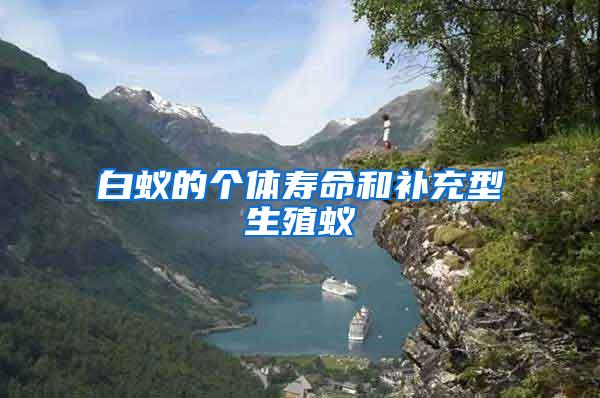 白蟻的個體壽命和補(bǔ)充型生殖蟻