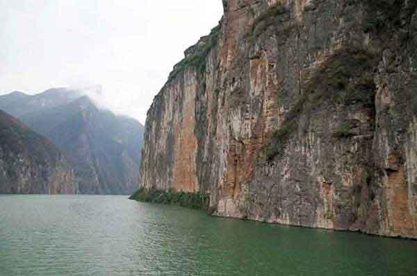 深圳專業(yè)殺臭蟲公司評(píng)判標(biāo)準(zhǔn)