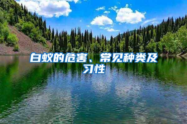 白蟻的危害、常見種類及習(xí)性