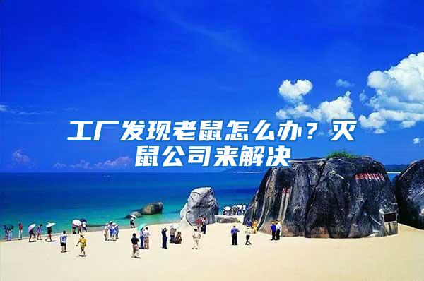 工廠發(fā)現(xiàn)老鼠怎么辦？滅鼠公司來解決