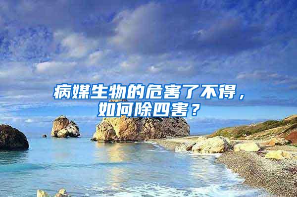 病媒生物的危害了不得，如何除四害？