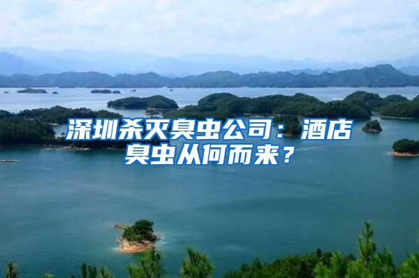 深圳殺滅臭蟲公司：酒店臭蟲從何而來？