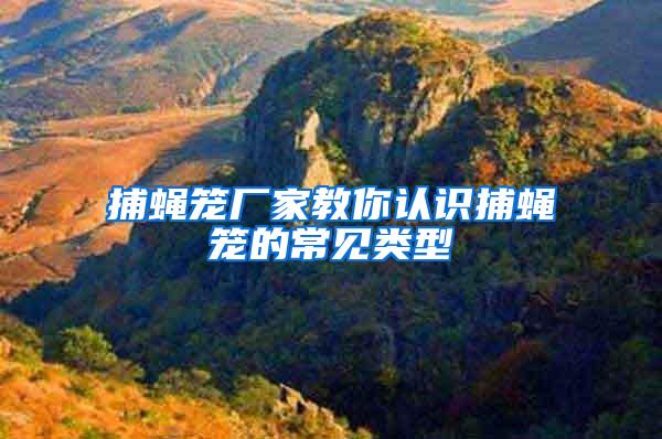 捕蠅籠廠家教你認(rèn)識(shí)捕蠅籠的常見(jiàn)類(lèi)型