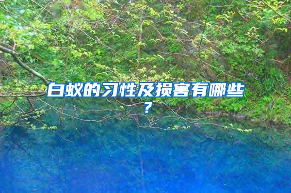白蟻的習(xí)性及損害有哪些？