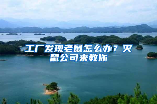 工廠發(fā)現(xiàn)老鼠怎么辦？滅鼠公司來教你