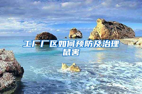 工廠廠區(qū)如何預防及治理鼠害