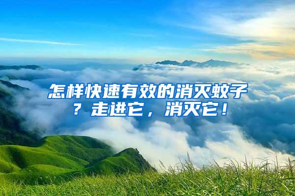 怎樣快速有效的消滅蚊子？走進它，消滅它！
