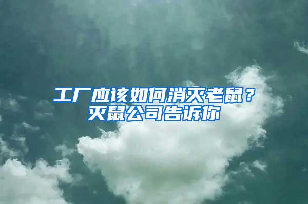 工廠應(yīng)該如何消滅老鼠？滅鼠公司告訴你