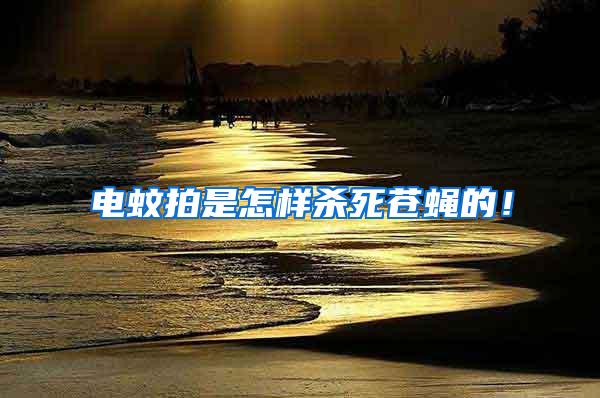 電蚊拍是怎樣殺死蒼蠅的！