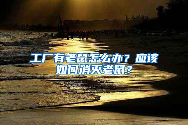 工廠有老鼠怎么辦？應(yīng)該如何消滅老鼠？