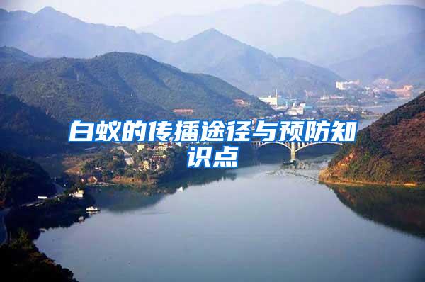 白蟻的傳播途徑與預(yù)防知識點