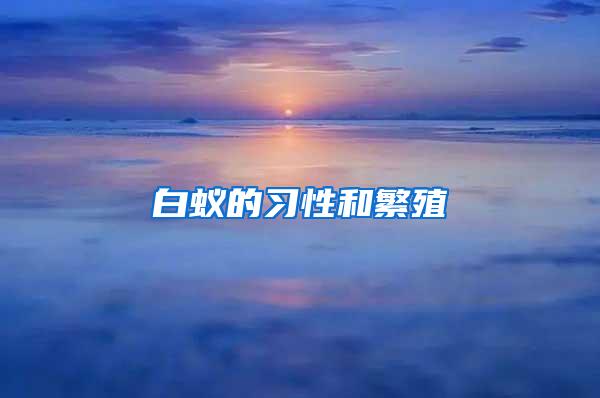 白蟻的習(xí)性和繁殖