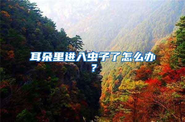 耳朵里進(jìn)入蟲子了怎么辦？