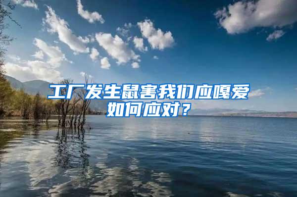 工廠發(fā)生鼠害我們應(yīng)嘎愛如何應(yīng)對？