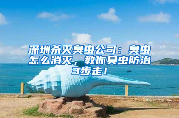 深圳殺滅臭蟲公司：臭蟲怎么消滅，教你臭蟲防治3步走！