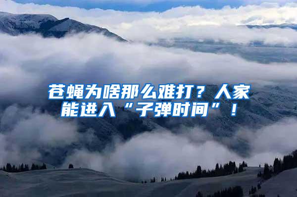蒼蠅為啥那么難打？人家能進(jìn)入“子彈時(shí)間”！