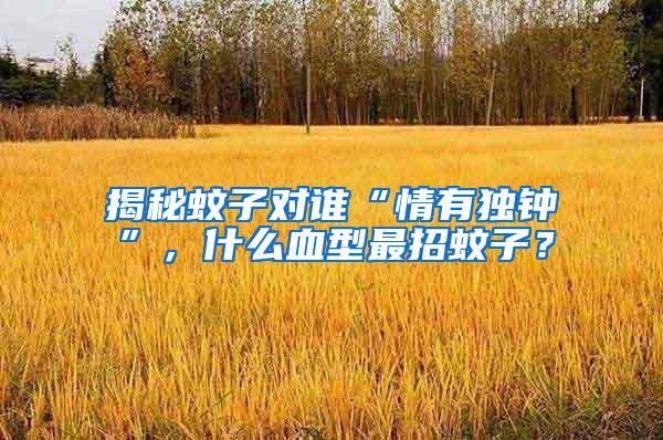 揭秘蚊子對誰“情有獨(dú)鐘”，什么血型最招蚊子？